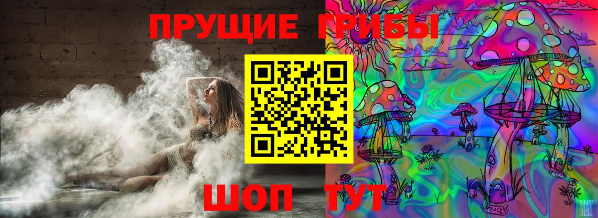 Галлюциногенные грибы прущие грибы  Галлюциногенные грибы мухоморы  Заречный  Вход с VPN 